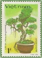 (1986-091) Марка Вьетнам "Фикус Бенджамина"    Вьетнамский Бонсай III Θ