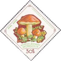 (1964-005) Марка Монголия "Маслёнок"    Грибы II Θ