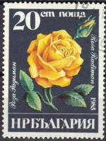 (1985-056) Марка Болгария "Роза Радиман"   Розы II Θ