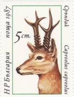 (1987-036) Марка Болгария "Косуля"   Олени III Θ