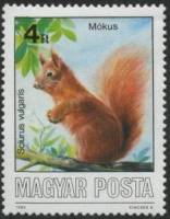 (1986-061) Марка Венгрия "Белка обыкновенная"    Охраняемые животные II Θ