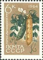 1964-091 Марка СССР Горох Рамонский-77 Перф. рам. 11½   Сельскохозяйственные культуры III O