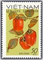 (1969-031) Марка Вьетнам "Хурма"   Фрукты I Θ