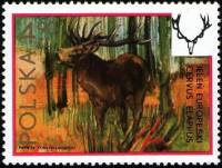 (1973-022) Марка Польша "Олень"    Дикая природа III Θ