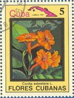 (1983-076) Марка Куба "Кордия Себестена"    Цветы III Θ