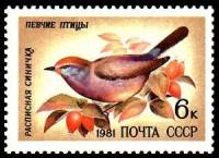1981-076 Марка СССР Расписная синичка  Певчие птицы III Θ
