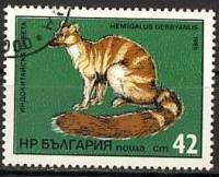 (1985-008) Марка Болгария "Полосатая цивета"   Экзотические хищники I Θ