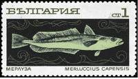 (1969-099) Марка Болгария "Мерлуза"   Океанское рыболовство II Θ