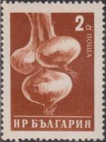 (1958-031) Марка Болгария "Лук" Перф греб 13   Стандартный выпуск. Овощи III Θ