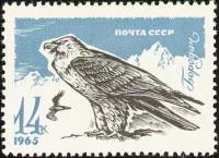 1965-139 Марка СССР Орёл-бородач   Хищные птицы III O