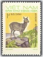 (1973-019a) Марка Вьетнам "Кабарга"  Без перфорации  Дикие животные III O