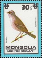 (1979-066) Марка Монголия "Ястребиная славка"    Охраняемые птицы III Θ