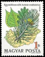 (1976-075) Марка Венгрия "Леса в Венгрии"    Миллионный гектар посадок леса II Θ