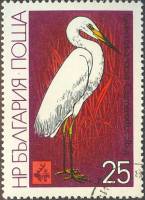 (1981-029) Марка Болгария "Большая белая цапля"   Международная охотничья выставка EXPO ' 81 II Θ