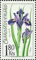 1973-034 Марка Чехословакия Ирис   Выставка цветов III Θ