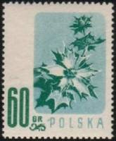 (1957-029) Марка Польша "Синеголовник приморский"   Цветы II O