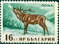 (1958-013) Марка Болгария "Олень" Перф лин 11   Дикие животные Болгарии I Θ