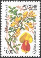 1997-003 Марка Россия Ракитник  Флора. Декоративные кустарники России III O