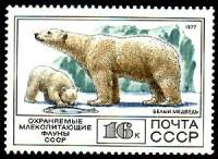 1977-104 Марка СССР Белый медведь  Фауна III O
