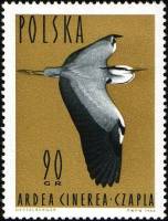 (1964-037) Марка Польша "Серая цапля"   Водоплавающие птицы II Θ