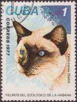 (1977-069) Марка Куба "Сиамская кошка"    Зоопарк в Гаване III Θ