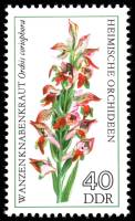 (1976-035) Марка Германия (ГДР) "Ятрышник клопоносный"    Орхидеи III Θ