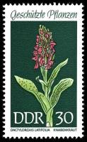 (1969-029) Марка Германия (ГДР) "Пальчатокоренник"    Растения под защитой II Θ