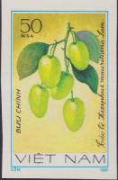 (1981-040) Марка Вьетнам "Зизифус мавританский"    Фрукты III Θ