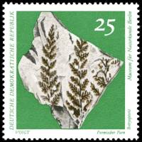(1973-011) Марка Германия (ГДР) "Папоротник Ботриоптерис"    Музей истории III O