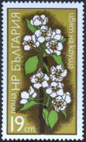 (1975-004) Марка Болгария "Груша"    Цветы фруктовых деревьев III Θ