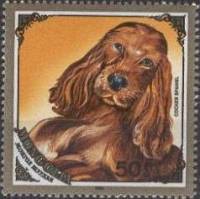 (1984-079) Марка Монголия "Кокер спаниель"    Собаки III Θ