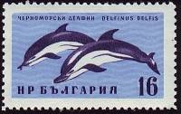 (1961-050) Марка Болгария "Дельфин черноморский"   Фауна Чёрного моря II Θ