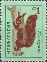 (1963-018) Марка Болгария "Белка"   Дикие животные III Θ