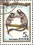 (1985-043) Марка Северная Корея "Обыкновенная игрунка"   Обезьяны III Θ