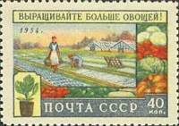 1954-052 Марка СССР Уборка овощей   Сельское хозяйство II Θ