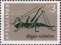 (1964-029) Марка Болгария "Сага (дыбка)"   Насекомые I Θ