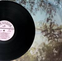 Пластинка виниловая Карел Готт Скрипка Паганини Мелодия 300 мм. Excellent