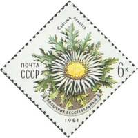 1981-048 Марка СССР Колючник бесстебельный  Цветы украинских Карпат III O