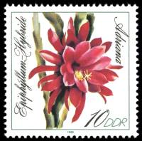 (1989-067) Марка Германия (ГДР) "Адриана"    Кактусы II Θ