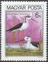 (1980-056) Марка Венгрия "Ходулочник"    Европейская природоохранная кампания "Защита жизни и природ