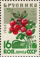 1964-173 Марка СССР Брусника   Ягоды III O