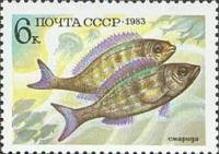 1983-052 Марка СССР Смарида  Промысловые рыбы III O