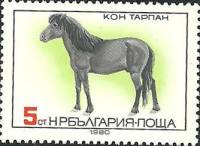 (1980-100) Марка Болгария "Дикая лошадь"   Породы лошадей II Θ