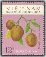(1975-016) Марка Вьетнам "Саподилла"   Фрукты III Θ