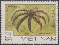 (1985-052) Марка Вьетнам "Морская звезда Луидия "    Морские животные III Θ