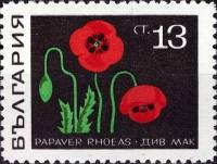(1969-007) Марка Болгария "Мак"   Лекарственные растения III Θ