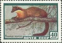 1959-057 Марка СССР Куница харза   Фауна III O