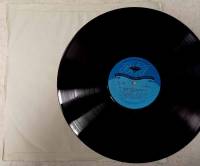 Пластинка виниловая , Выдающиеся пианисты прошлого ВСГ 300 мм. (Сост. отл.)