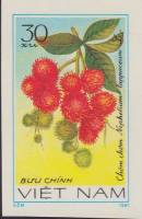 (1981-038) Марка Вьетнам "Рамбутан"    Фрукты III Θ