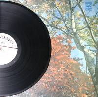 Пластинка виниловая Трио Л. Чижика Д. Гершвин. Популярные мелодии Мелодия 300 мм. Excellent